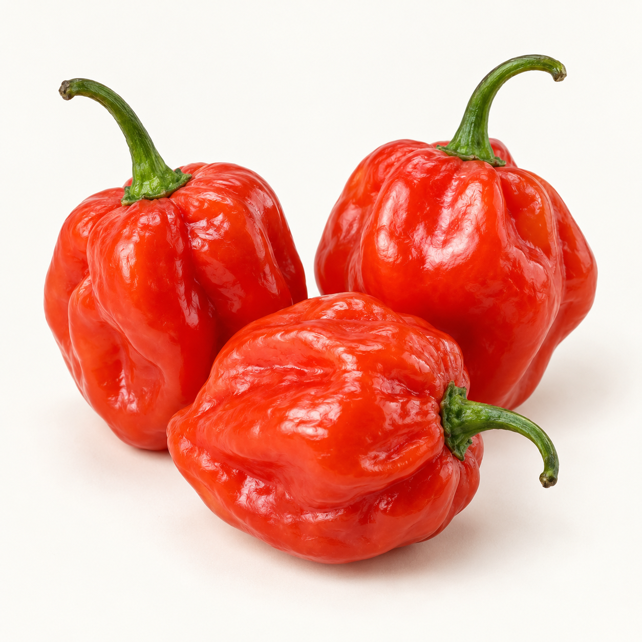 Red Habanero Chilli